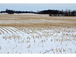 Property photo 11 - AUCTION, 206 Contiguous Acres offered in 5 Tracts